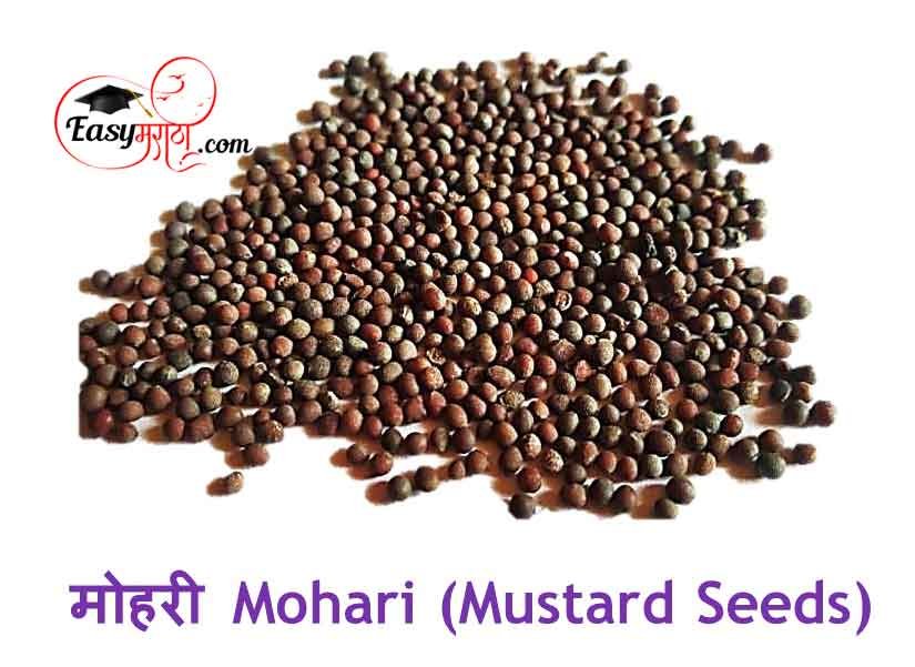 मोहरी Mohari (Mustard Seeds)